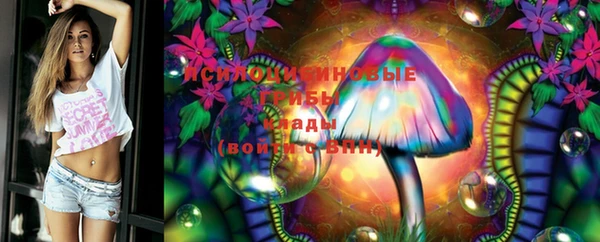 спайс Магас