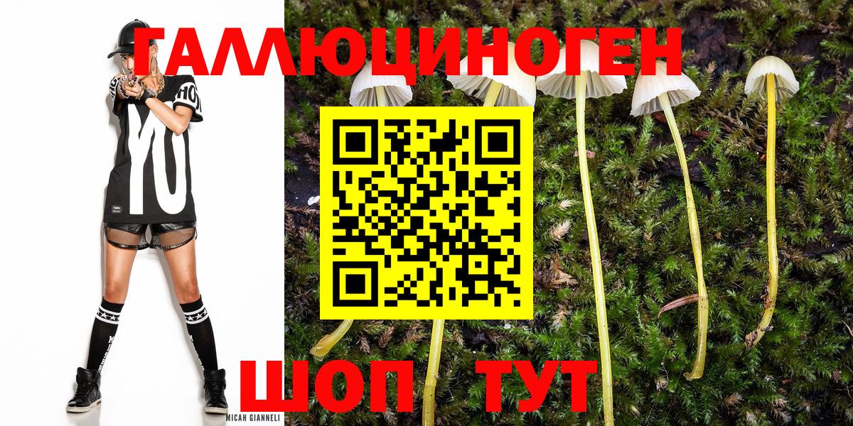 Псилоцибиновые грибы прущие грибы  Новомосковск 