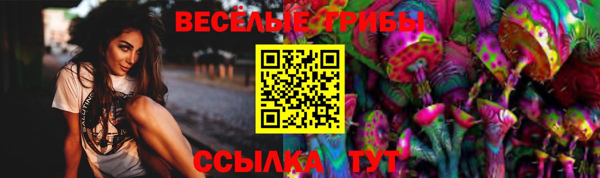 Новомосковск  Галлюциногенные грибы прущие грибы  Галлюциногенные грибы Cubensis  Вход с VPN 