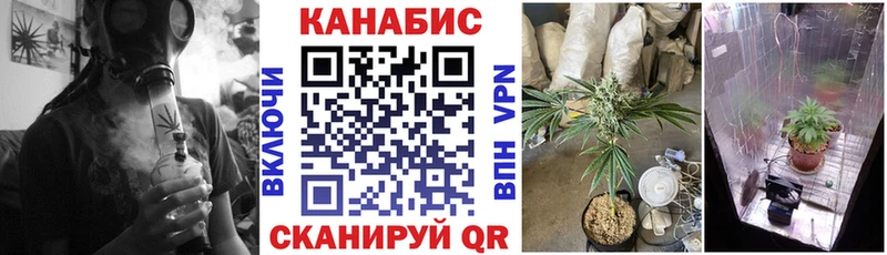 Конопля конопля  Новомосковск 
